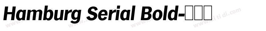 Hamburg Serial Bold字体转换